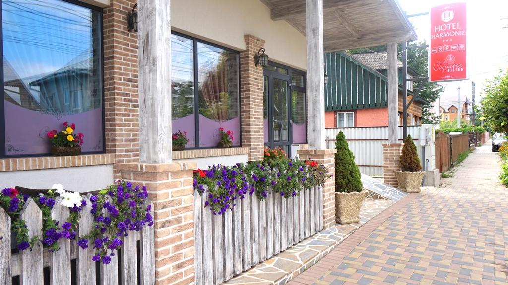 Hostel Harmonie Rădăuţi Exterior foto